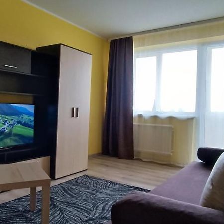 Adeles Apartamentai Panevezyje Panevėžys エクステリア 写真
