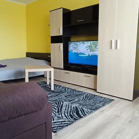 Adeles Apartamentai Panevezyje Panevėžys エクステリア 写真