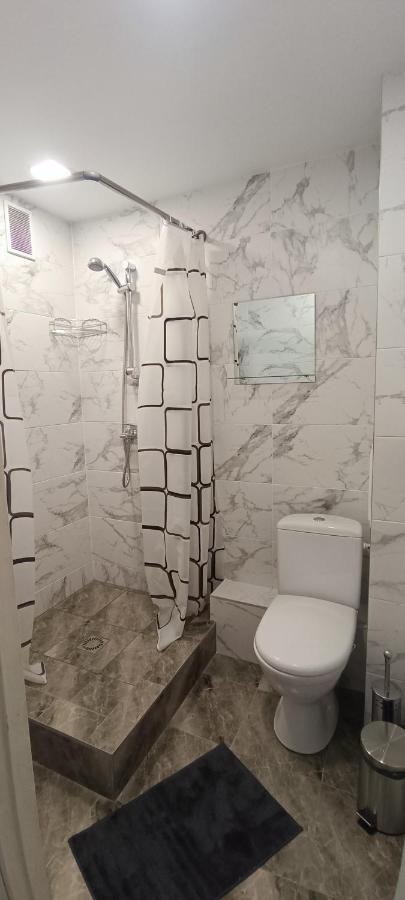 Adeles Apartamentai Panevezyje Panevėžys エクステリア 写真