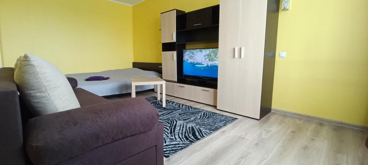 Adeles Apartamentai Panevezyje Panevėžys エクステリア 写真