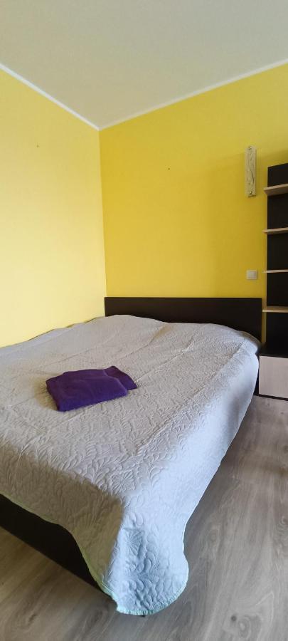 Adeles Apartamentai Panevezyje Panevėžys エクステリア 写真